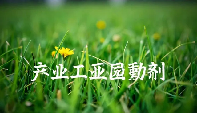 青岛网络推广公司如何通过适配方案提升仓储配送效率